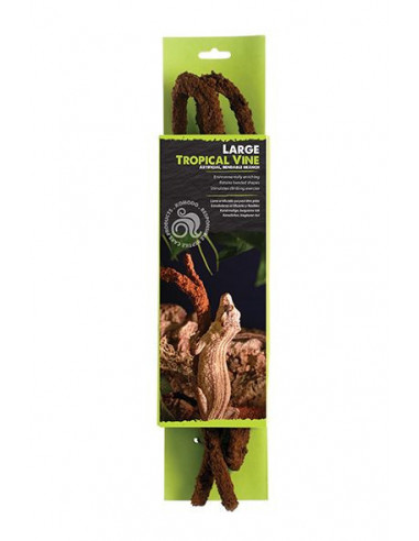 KOMODO TROPICAL VINE - M