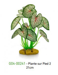 PLANTA DE PÉ 2 - 21cm
