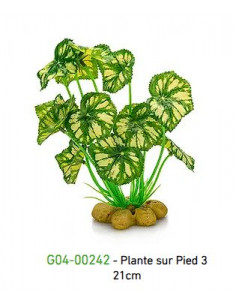 PLANTA DE PÉ 3 - 21cm