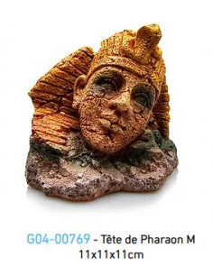 Pharao - 11 x 10.8 x 11 cm