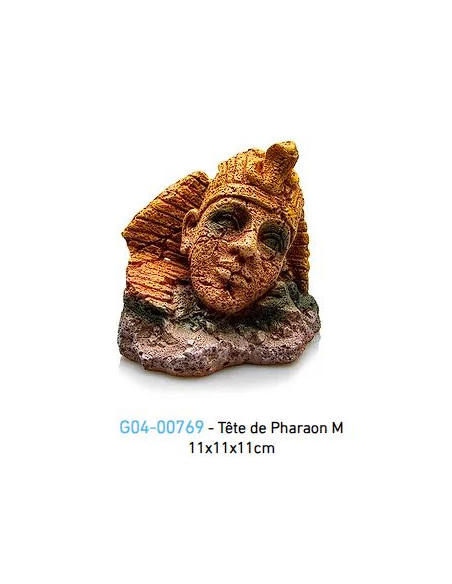 Pharao - 11 x 10.8 x 11 cm