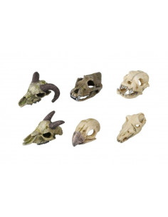 Decoração Poliresina - Skull Mini - 7-10 cm