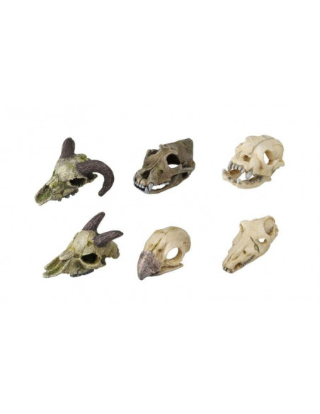 Decoração Poliresina - Skull Mini - 7-10 cm