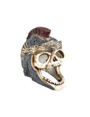 Decoração Aquário Poliresina 18,2 x 11,7 x 15 cm- Skull Roman