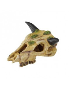 Decoração Poliresina Carabao Skull - 12 cm