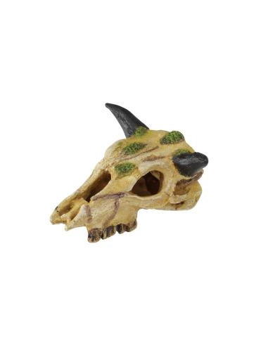 Decoração Poliresina Carabao Skull - 12 cm