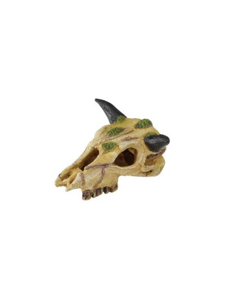 Decoração Poliresina Carabao Skull - 12 cm