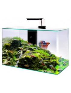 Aquário Vidro Clear 4mm Cantos Redondos - 50 x 25 x 38 - Preto 2