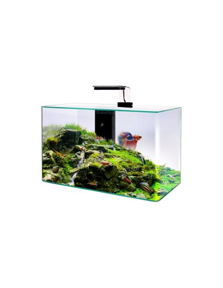 Aquário Vidro Clear 4mm Cantos Redondos - 50 x 25 x 38 - Preto