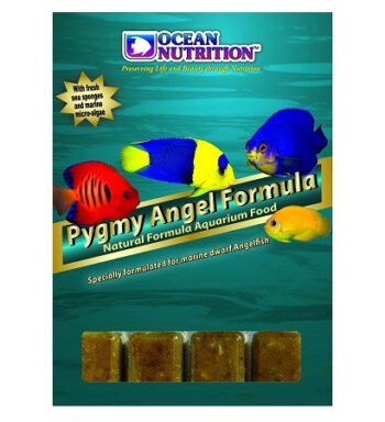 Pygmy Angel Formula - 100 g