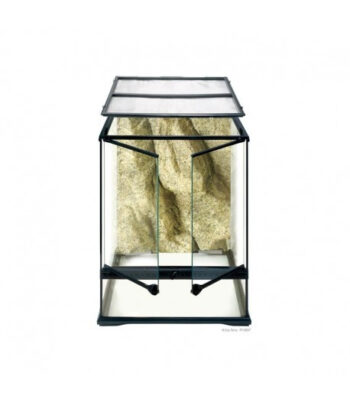 TERRÁRIO PEQUENO TALL