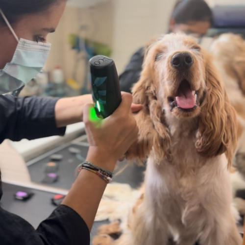 20260107_234613_0000