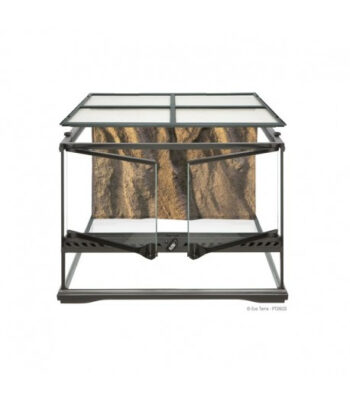 TERRÁRIO PEQUENO LOW