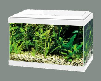 AQUA 20 C/FILTRO INTERIOR & ILUMINAÇÃO LED BRANCO