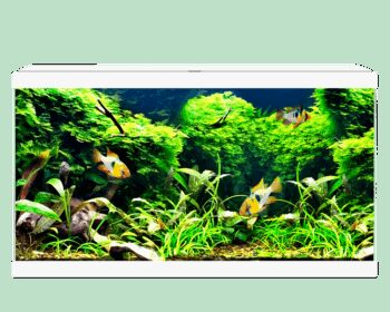 AQUA 60 C/FILTRO BIOLÓGICO & ILUMINAÇÃO LED BRANCO