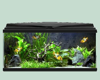 AQUA 80 C/FILTRO BIOLÓGICO & ILUMINAÇAO LED BRANCO