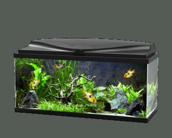 AQUA 80 C/FILTRO BIOLÓGICO & ILUMINAÇAO LED BRANCO