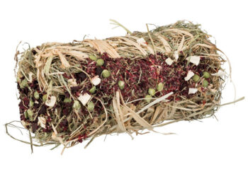 FARDO DE FENO COM BETERRABA E PASTINACA