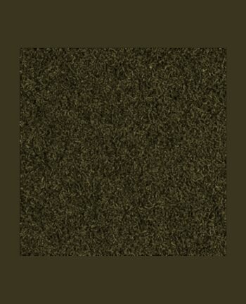 CARIDINA NANO STICKS