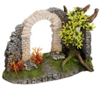 AQUA DELLA ROMAN ARC