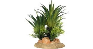 SAGO PALM S - 13.5 X 10 X 16 CM
