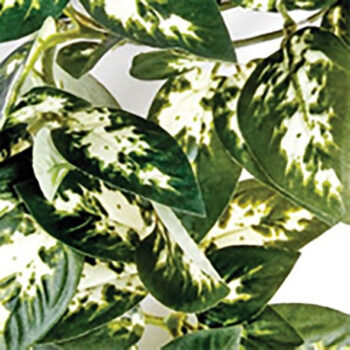 DECORAÇÃO BORNEO - 23 CM