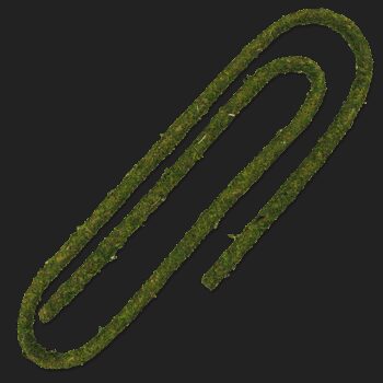 REPTIPLANET LIANA SELVA - 200X1 CM