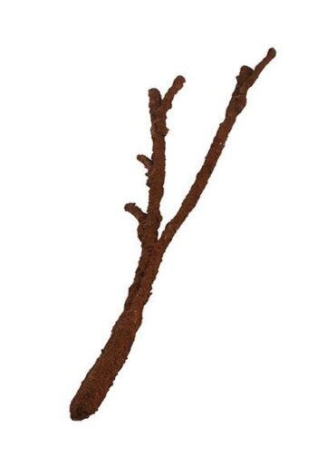 KOMODO RAMO TROPICAL VINE - M