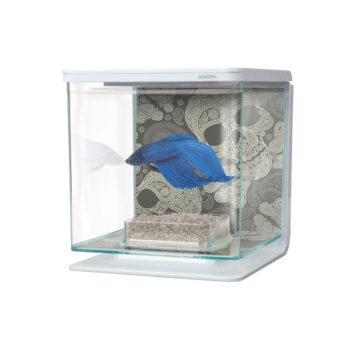 MARINA BETTA KIT 2 LITROS, CRÂNIOS