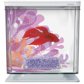 MARINA BETTA KIT 2 LITROS, FLORES