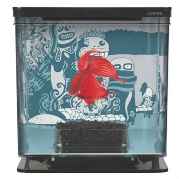 MARINA BETTA KIT 2 LITROS, SELVAGEM