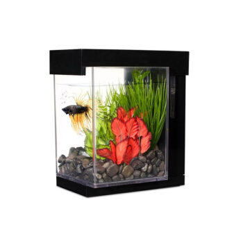 MARINA BETTA EZ CARE STYLE KIT 3,7 LITROS, NEGRO