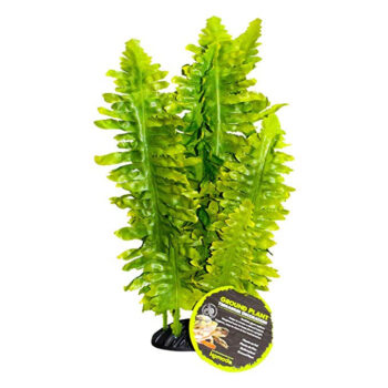 DECORAÇÃO BOSTON FERN - 25 CM