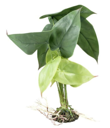 Planta Artificial Alocacia-20 x 30 x 35 cm - Verde