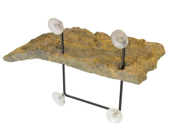 ZOOMED - TURTLE DOCK - TAM S