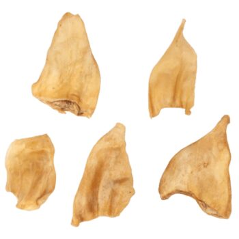 Buffalo Ears - 5 UND