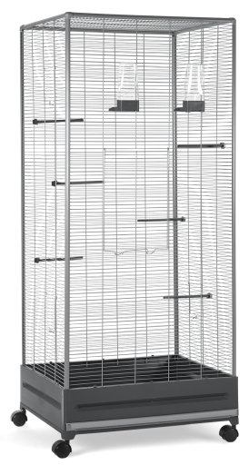 PASSAREIRA CINZA-CINZA ESCURO