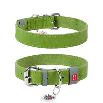 WAUDOG - Classic Coleira Couro Genuino - Verde - 35mm x 46-60cm
