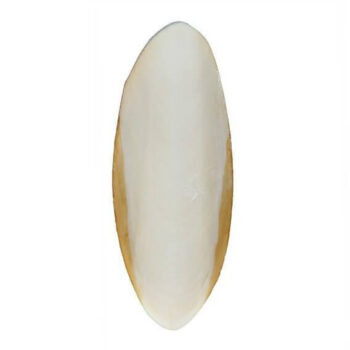 OSSO DE CHOCO - 80gr