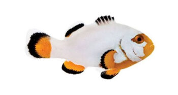 PEIXE PALHAÇO PERCULA PLATINIUM, 3 CM