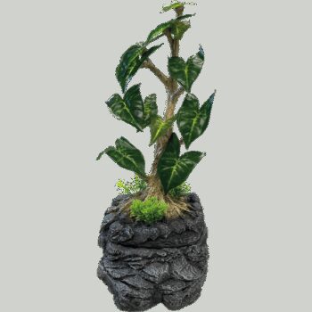 Repto - Planta Gotejadora