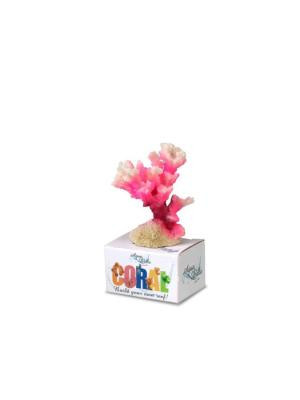 Decoração Poliresina Cauliflower Coral S