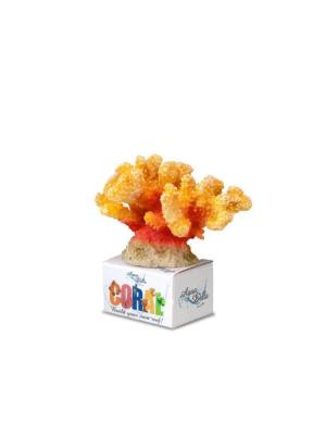 Decoração Poliresina Cauliflwoer Coral -Lar-Ama-M