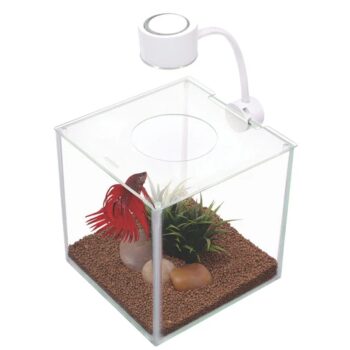 MARINA BETTA CUBUS KIT, 3.4L
