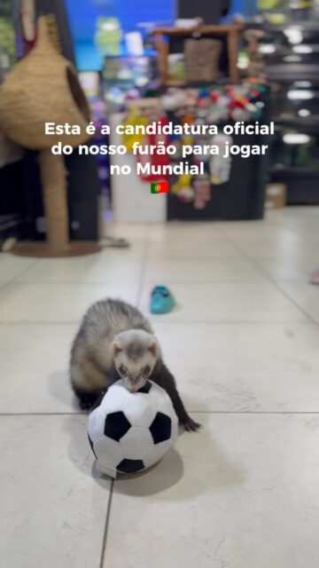@portugal está contratado? 😂