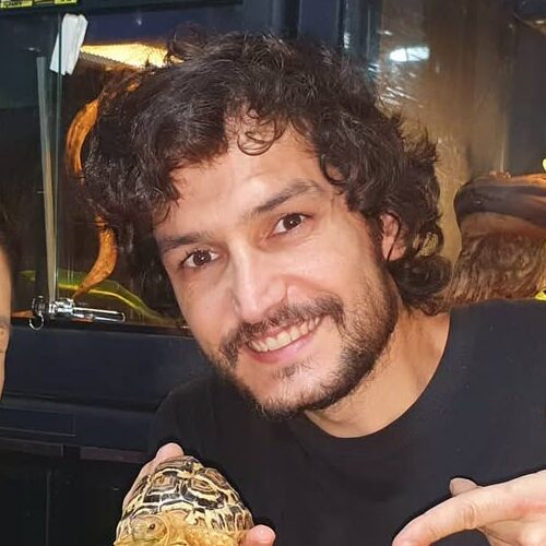 marisa-bruno-tortuga