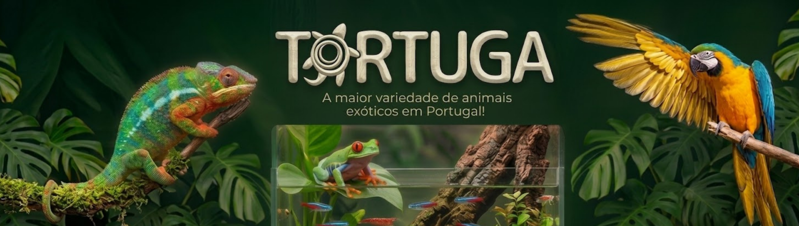 Design sem nome – 2026-03-09T182115.555